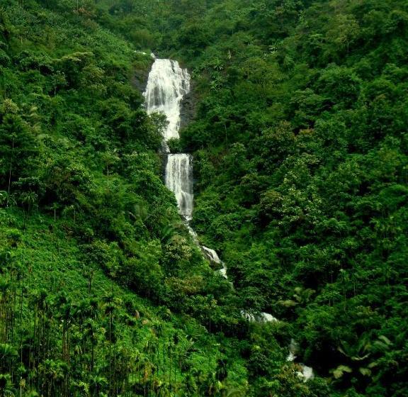 리조트 Paithal Mount Cottage