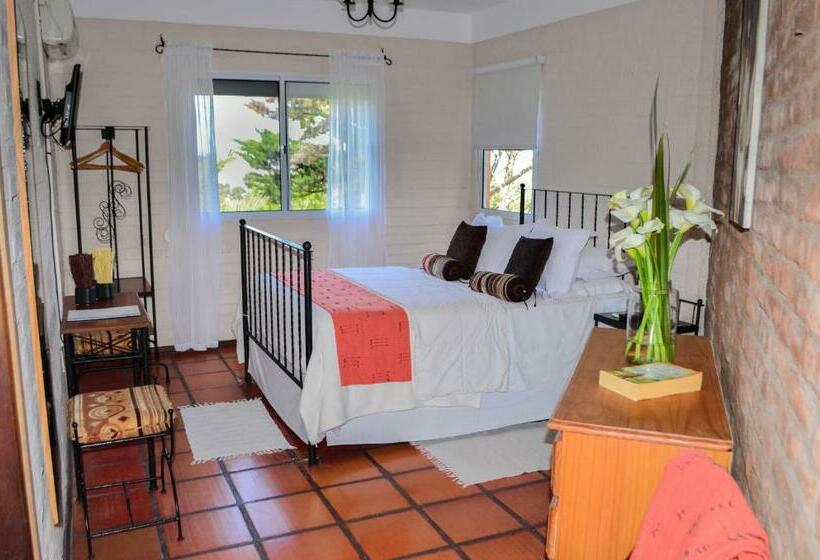 فندق صغير Del Bosque Posada