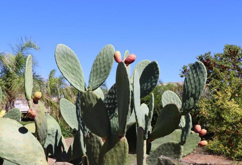 B&b Il Giardino Di Paola