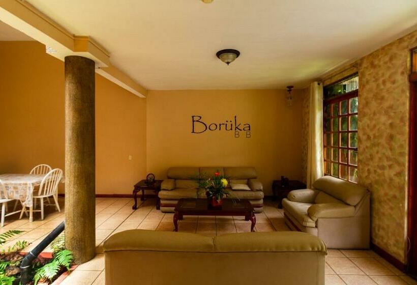 مبيت وإفطار Boruka Bnb