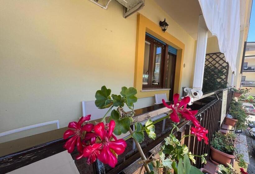 ベッドアンドブレックファースト Donna Viruzza