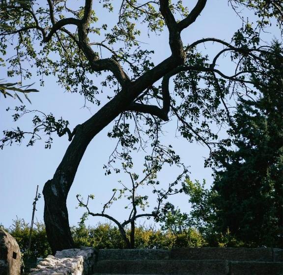 Bed and Breakfast Marináda Viniční Dům