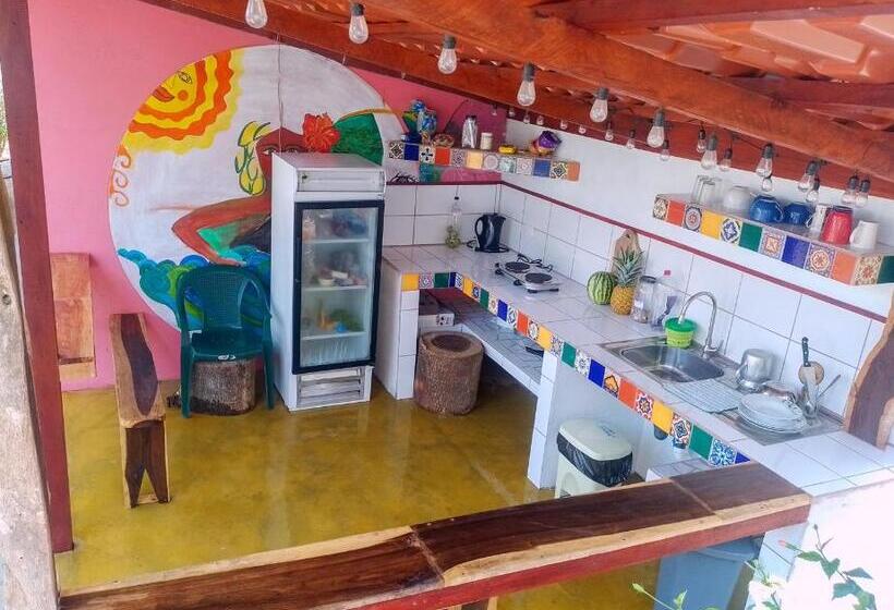 住宿加早餐 Nasu Lodge