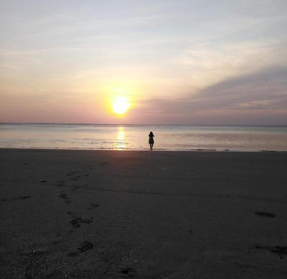 住宿加早餐 Nasu Lodge