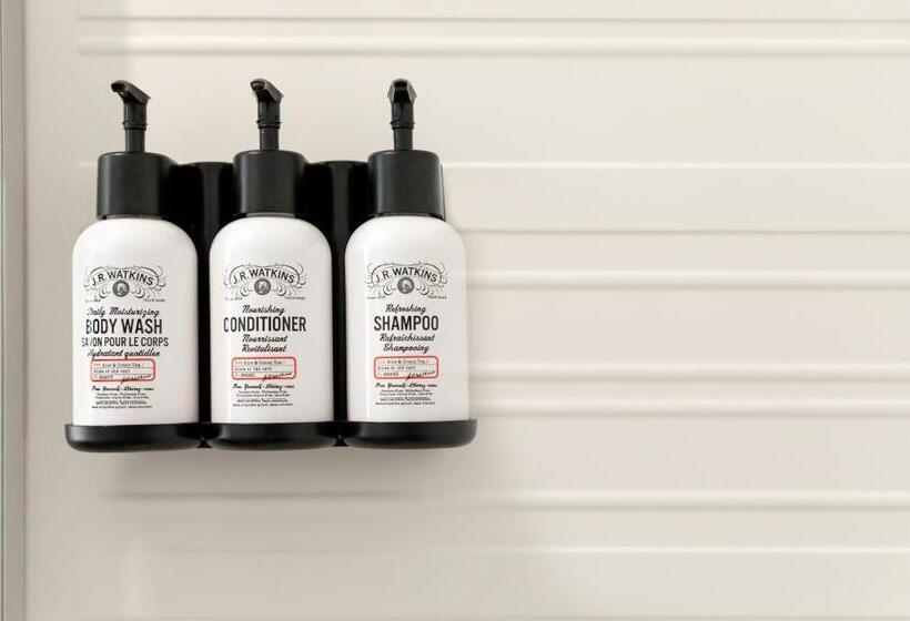 Avid Hotels   Chicago O Hare   Des Plaines