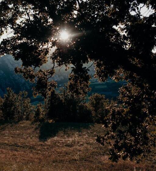 فندق Azienda Agricola Saint Hubert