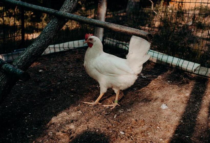 فندق Azienda Agricola Saint Hubert