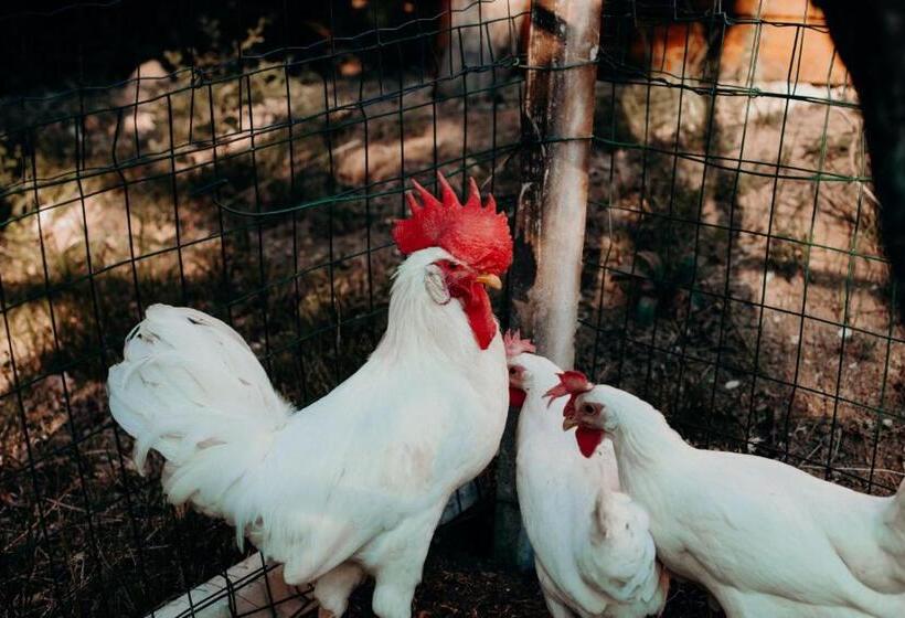 فندق Azienda Agricola Saint Hubert