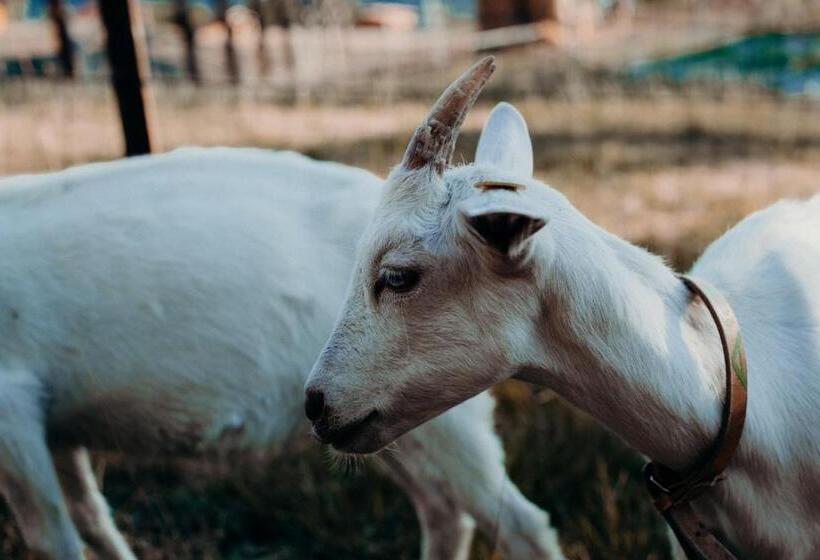 فندق Azienda Agricola Saint Hubert