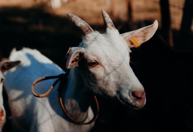 فندق Azienda Agricola Saint Hubert