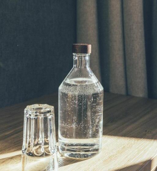 בית מלון כפרי Das Gerlos  Boutique