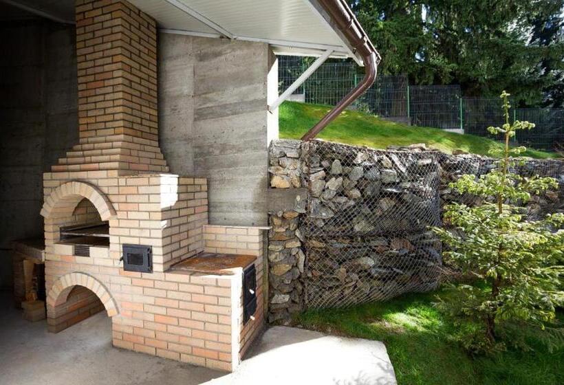 ホテル Pensiunea Constantin