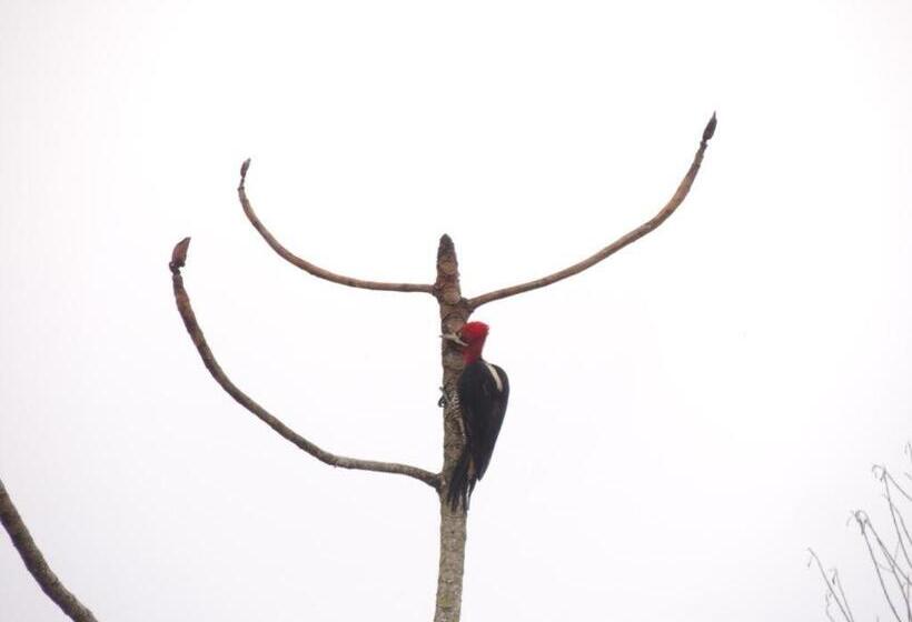 בית מלון כפרי Pousada Pé Na Areia   Ilha Do Mel