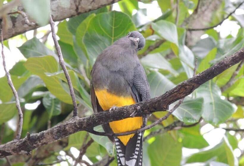 בית מלון כפרי Pousada Pé Na Areia   Ilha Do Mel