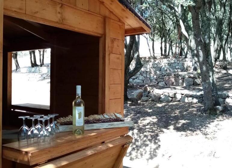 호텔 Tenuta Paltusa