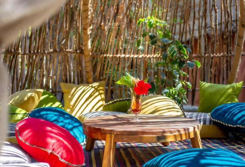 בית מלון כפרי The Nest Boutique Resort