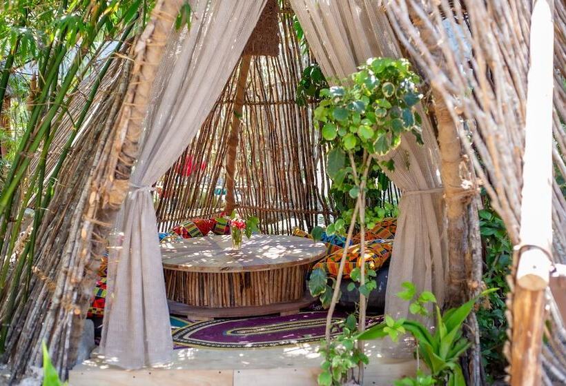 בית מלון כפרי The Nest Boutique Resort