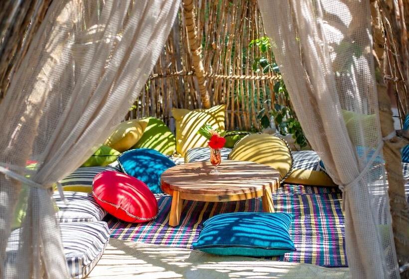 בית מלון כפרי The Nest Boutique Resort