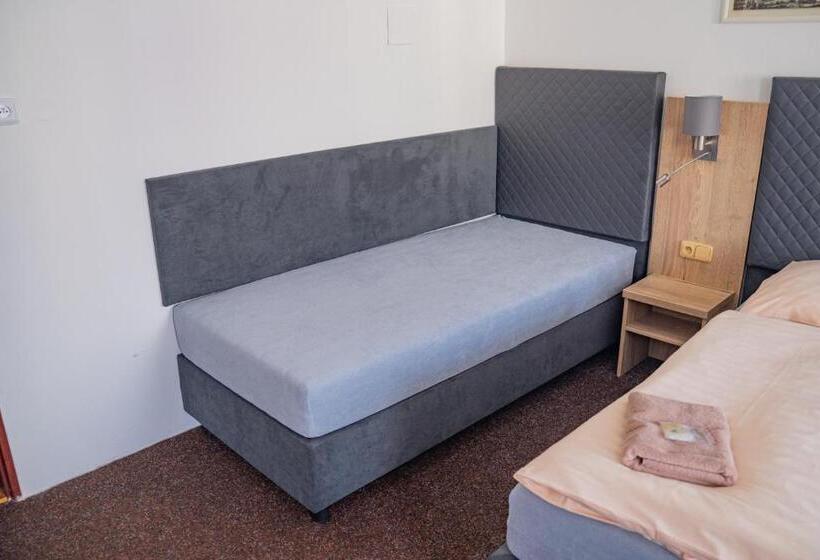 هتل Zlatá Labuť