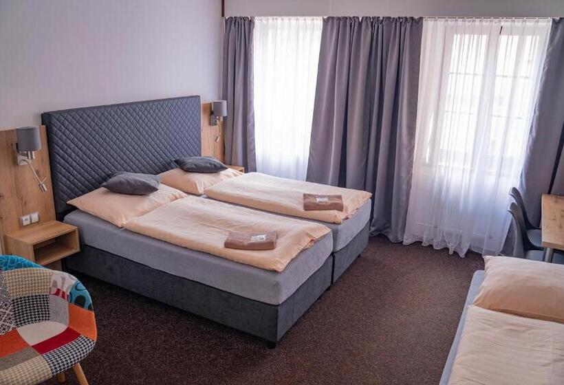 Отель Zlatá Labuť