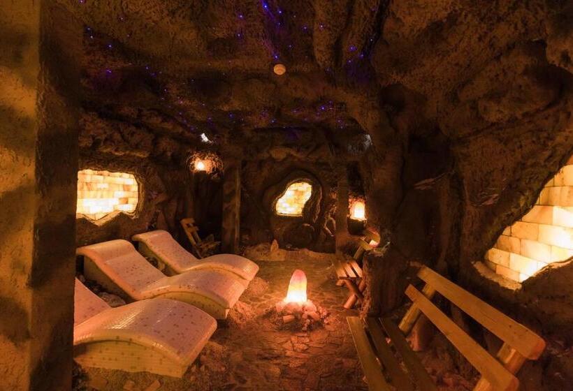 Nedei Hotel&spa Transalpina