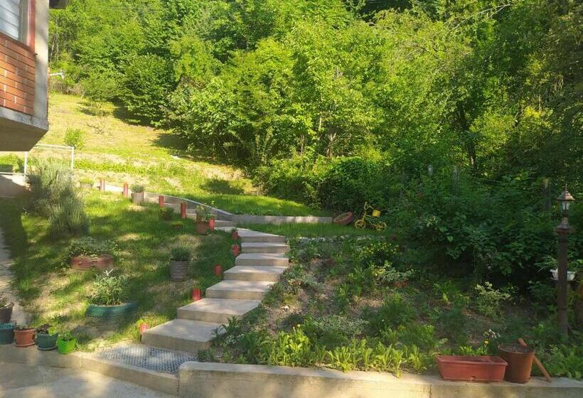 پانسیون Apartmani Zora Vuković