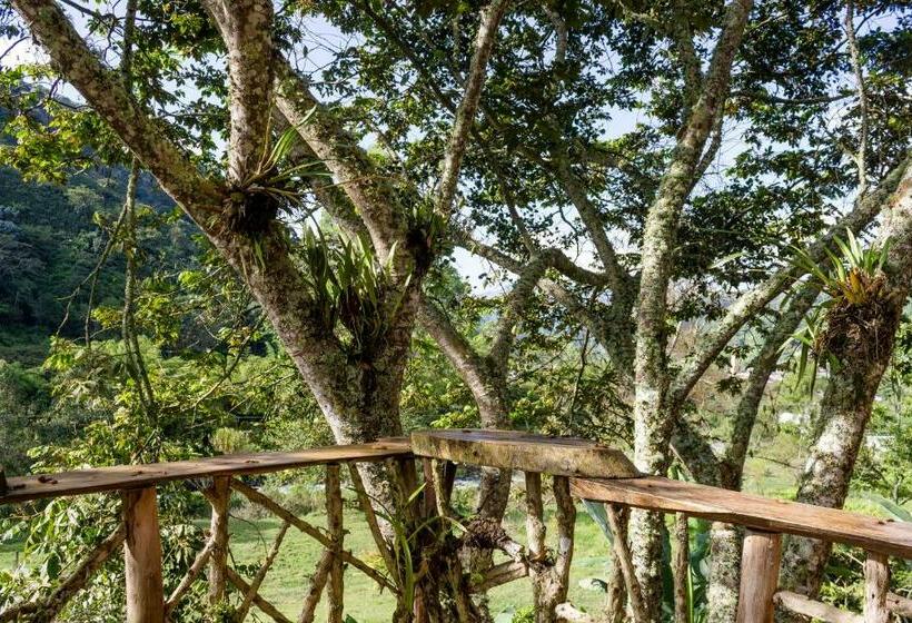 بنسيون Cabana Del Rio Lejos Pijao, Finca Flora Del Rio