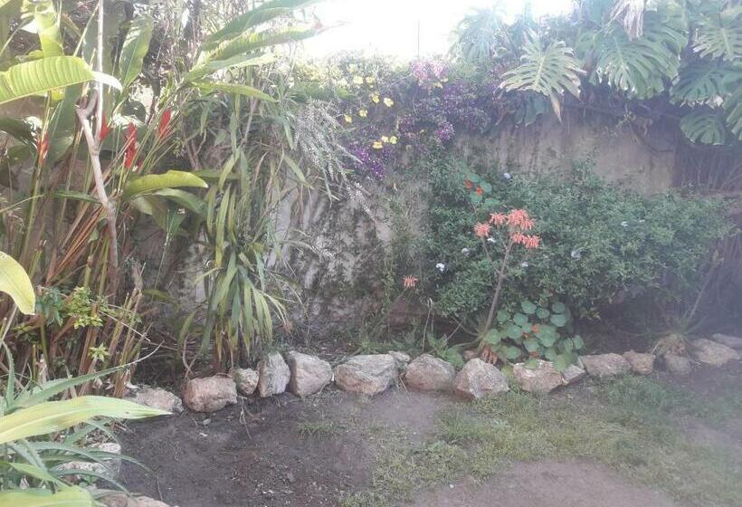 بنسيون Casa Del Arbol Hostel