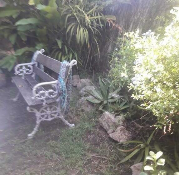 بنسيون Casa Del Arbol Hostel