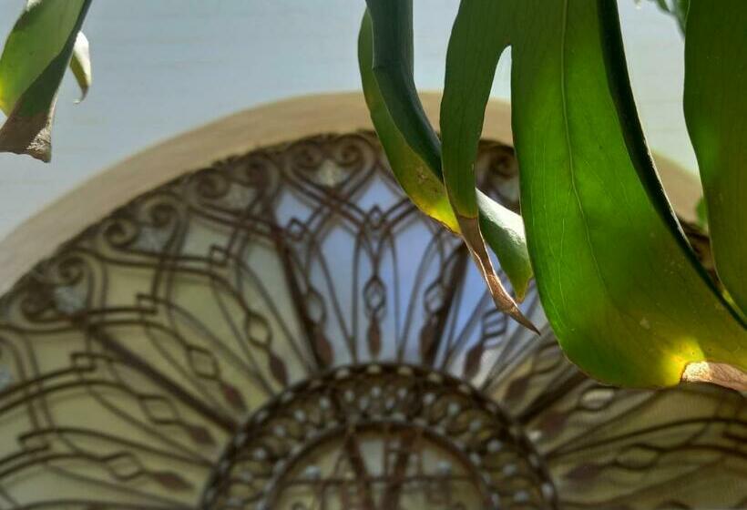 بنسيون Casa Del Arbol Hostel