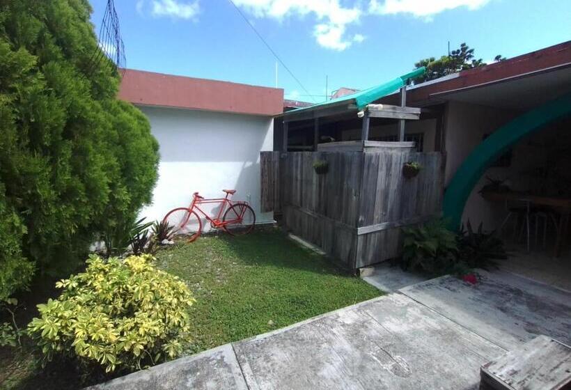 Пансион Casa Samay