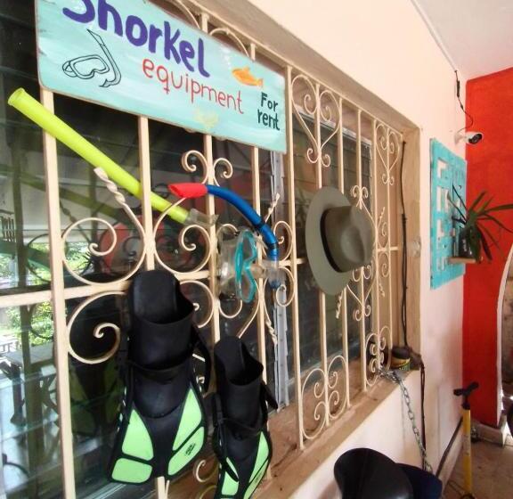 Пансион Casa Samay