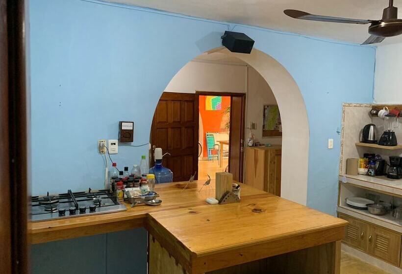 Пансион Casa Samay