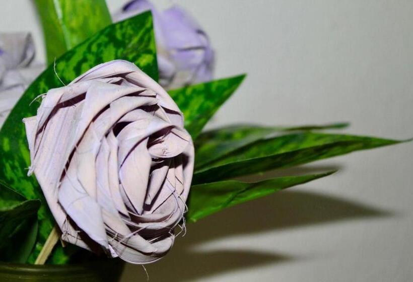 Пансион Casa Samay