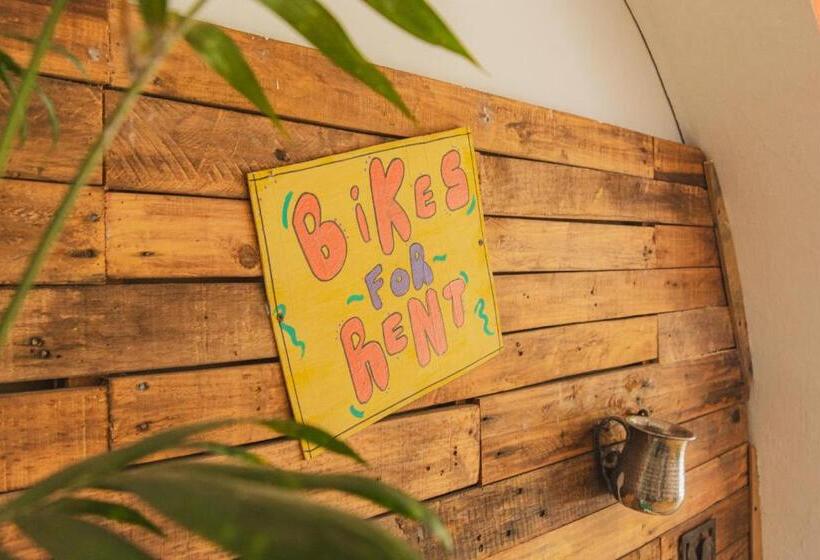 Пансион Casa Samay