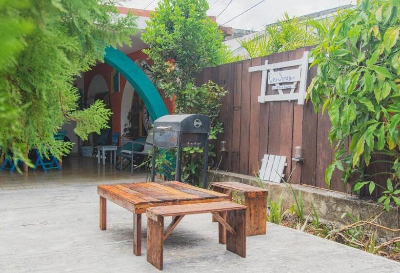 Пансион Casa Samay