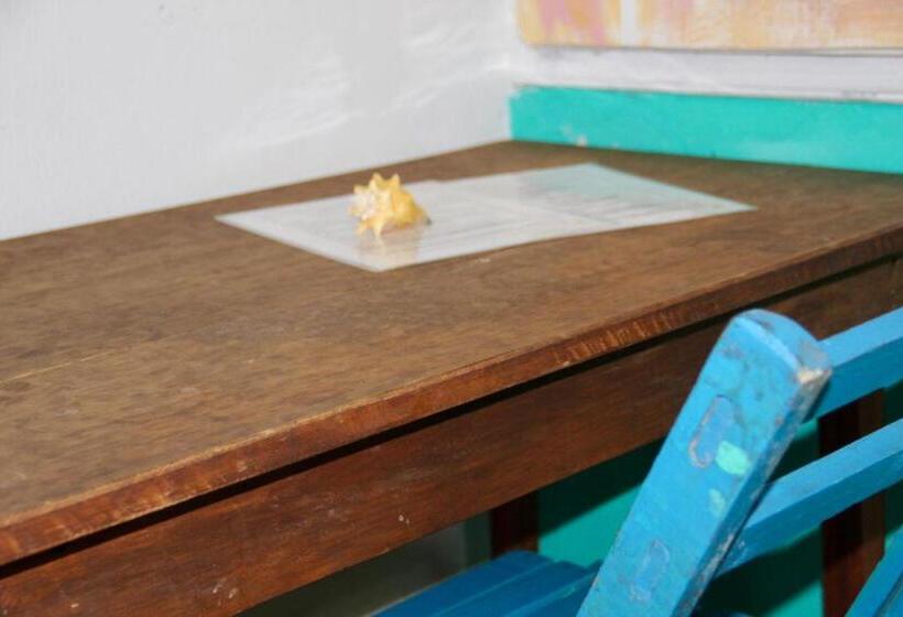 Пансион Casa Samay