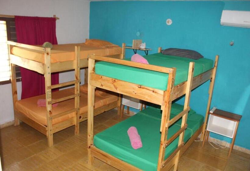 Пансион Casa Samay