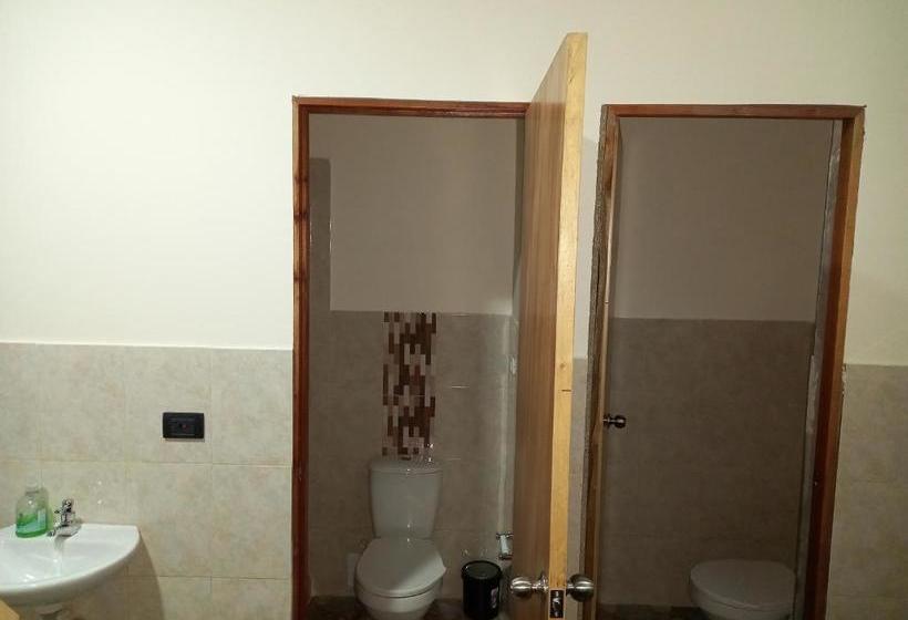 Пансион Ekolores Hostal   Parque Del Café   313 468 08 41