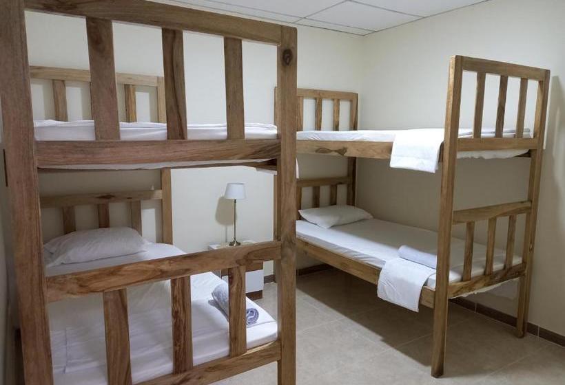 Пансион Ekolores Hostal   Parque Del Café   313 468 08 41