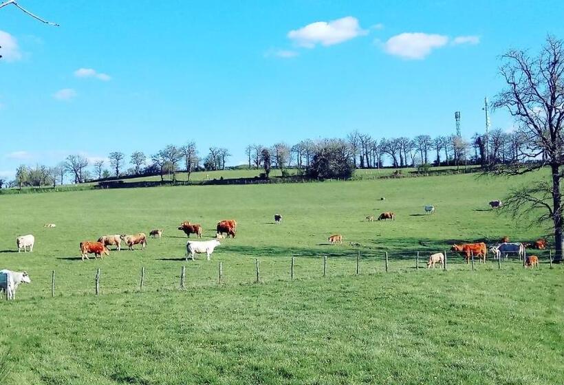 פנסיון Hostellerie Des Voyageurs