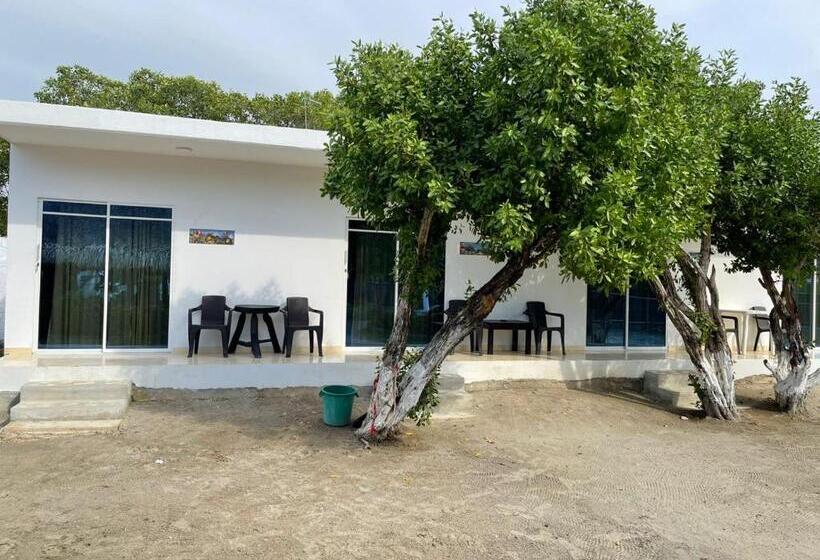 پانسیون Manglearena