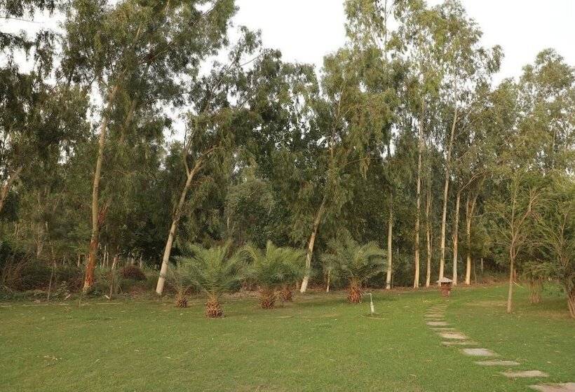 אתר נופש Brigadier S Plantation Retreat