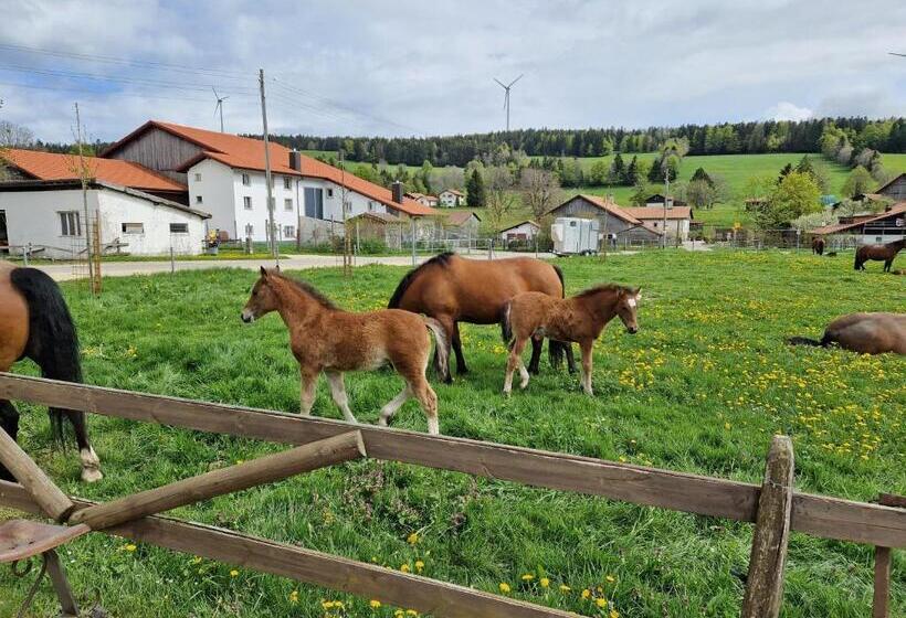 הוסטל Auberge Du Peu Péquignot