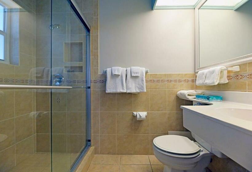 فندق صغير The Islander Inn