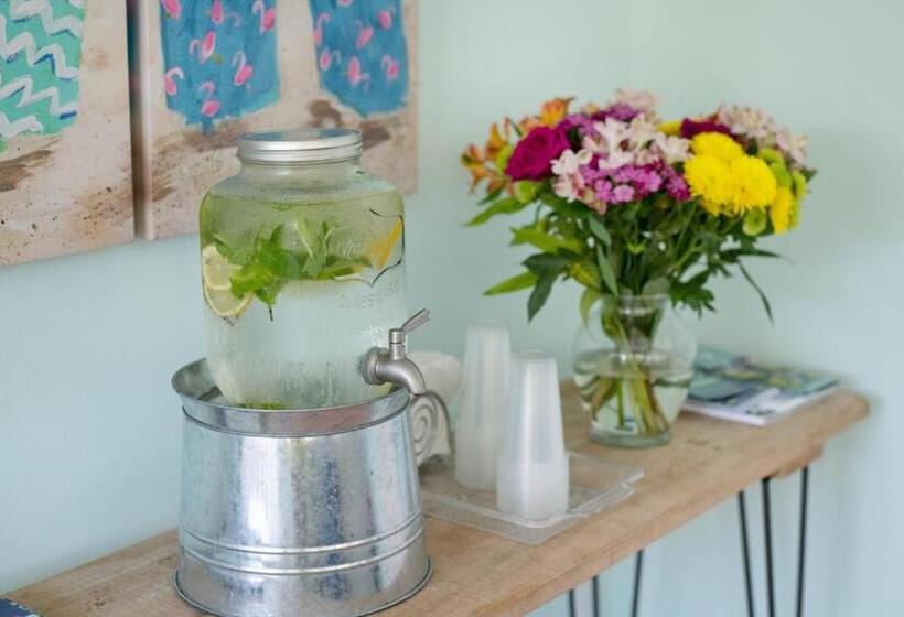 فندق صغير The Islander Inn