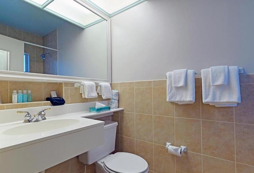 فندق صغير The Islander Inn