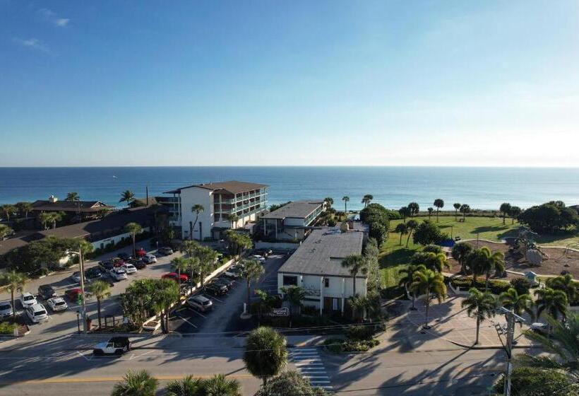 فندق صغير The Islander Inn