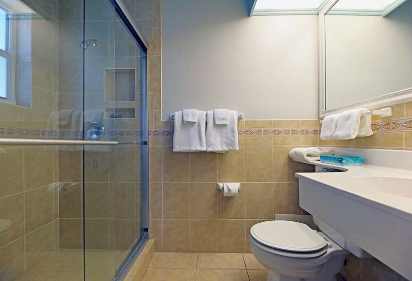 فندق صغير The Islander Inn