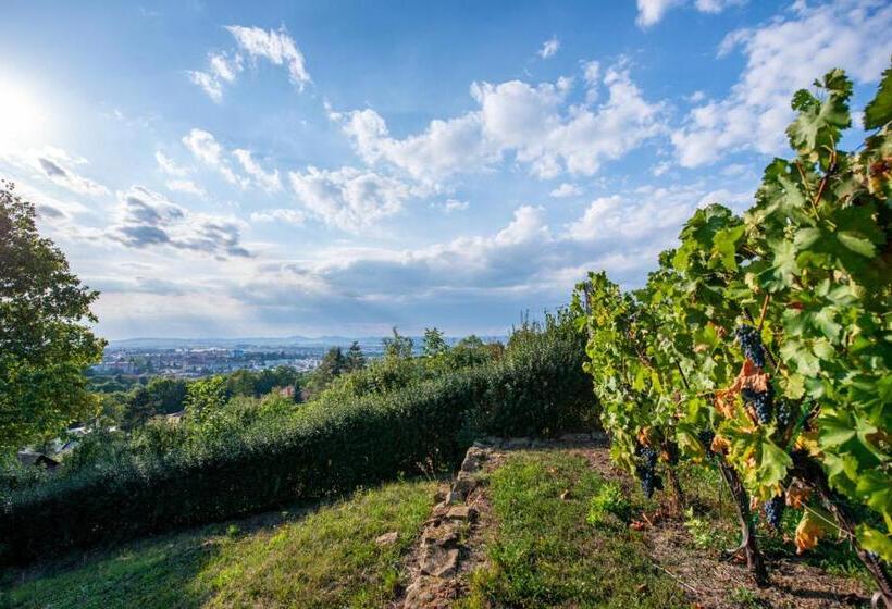 Apartmány Sklepy Mařatice